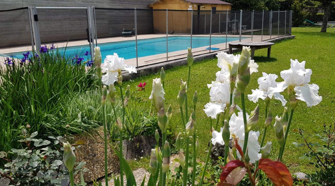 Gites De La Croisee Des Chemins - Piscine Chauffee - Spa, Hammam Et Sauna Izeaux 외부 사진